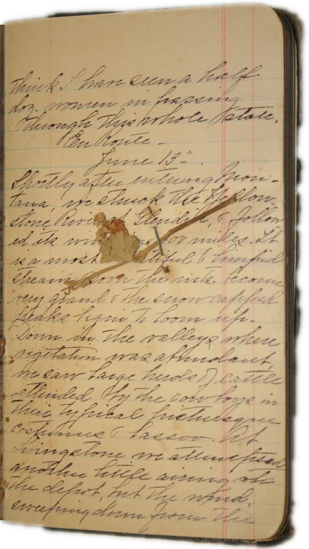 Journal page 8