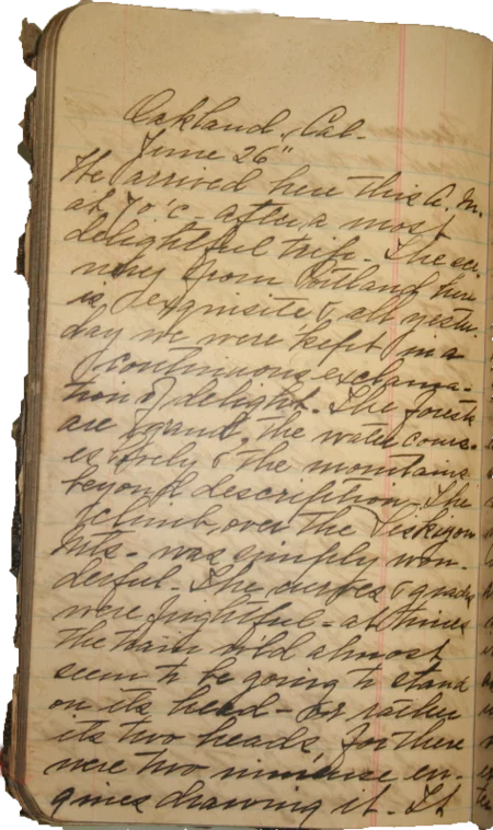 Journal page 3