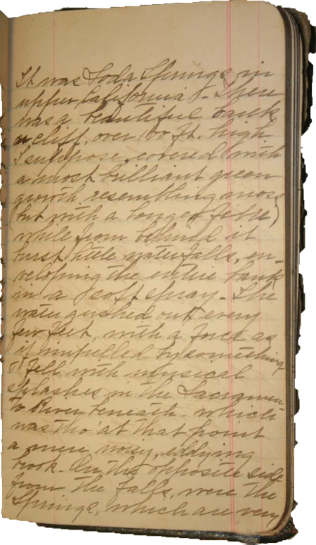 Journal page 8
