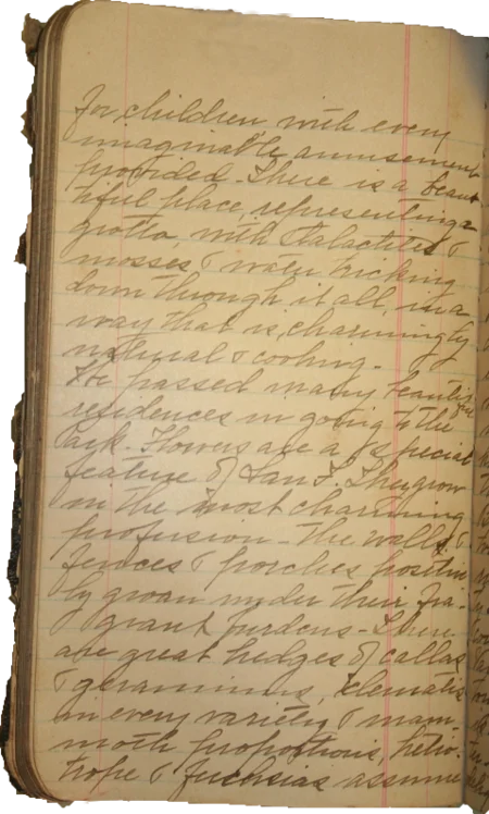 Journal page 5