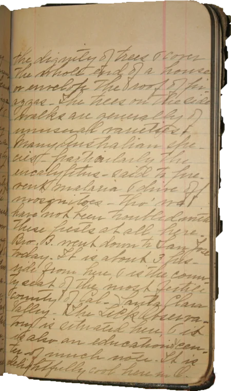 Journal page 6