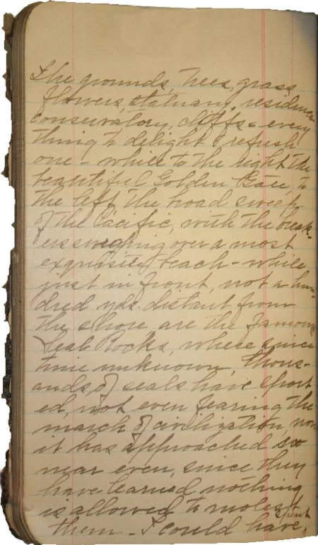 Journal page 6