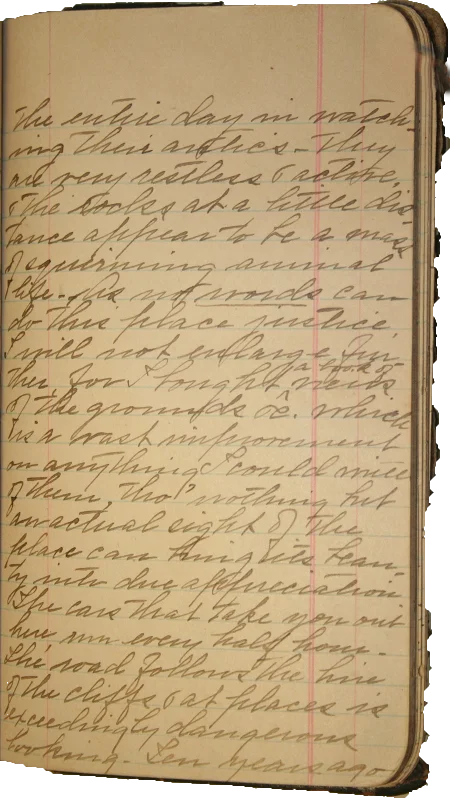 Journal page 7