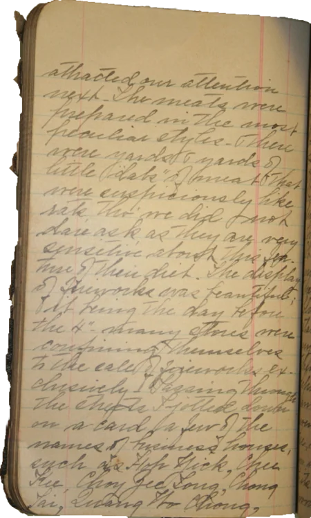 Journal page 6