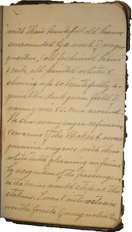Journal page 5
