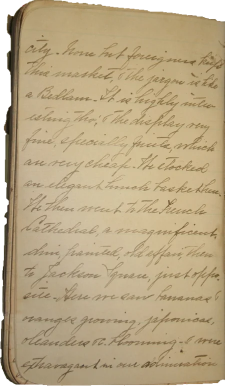 Journal page 8