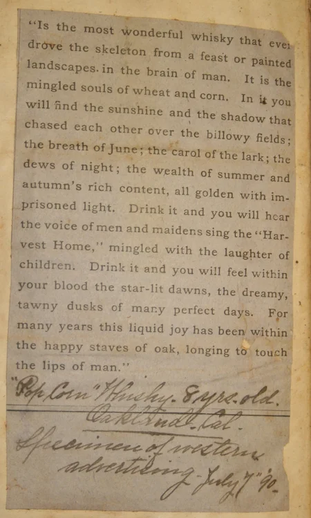Journal page 7